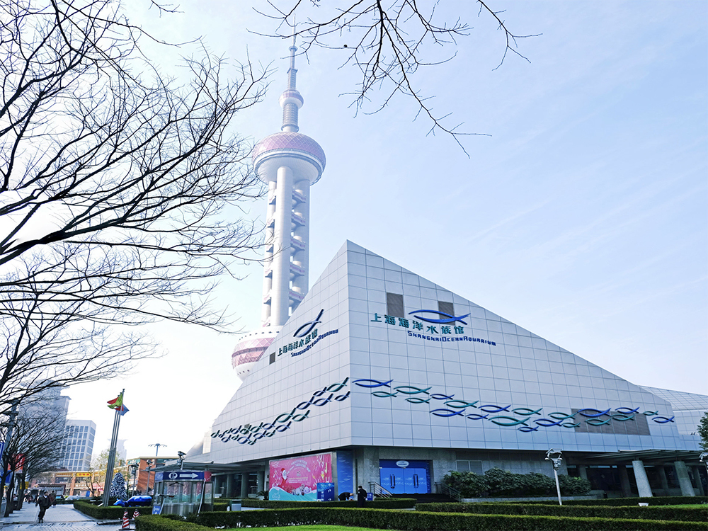 上海海洋水族館1.jpg